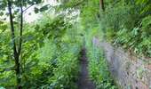 Trail Walking Braine-le-Comte - GRP127 : De Hennuyères à Nivelles - Photo 1