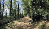 Tour Mountainbike Saint-Priest - Saint-Priest Cyclisme sur route - Photo 3
