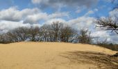 Tour Wandern Maaseik - A la découverte des dunes du Limbourg  - Photo 5
