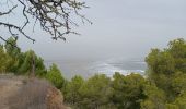 Percorso Marcia Leucate - leucate - la franqui (via le plateau) - phare (via la falaise) - leucate (via le plateau) - Photo 12