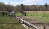 Trail Walking Zonhoven - limbourg  - Photo 5