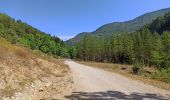 Percorso Mountainbike Aspres-sur-Buëch - Gorges de l'Agnielle - Photo 2