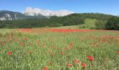 Tour Wandern Avignonet - Avignonet La Mairie - St Martin de la Cluze - Photo 1