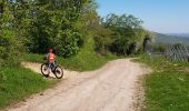 Trail Mountain bike Mutzig - parcours test VTTAE Mutzig  - Photo 10