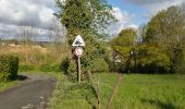 Tocht Stappen Chaumont-Gistoux - #210507 Dion-le-Mont, Pisselet et Louvranges - Photo 13