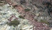 Trail Walking Albertacce - Trou du diable du capu tafunatu - Photo 5