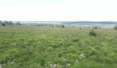 Tour Wandern Weismes - Venenwandeling Signal de Botrange - Photo 1