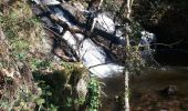 Randonnée Marche Chenailler-Mascheix - gorges de mémoire et cascade gourlastine - Photo 3