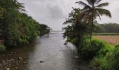 Tour Wandern Le Marigot - Marigot vers le Lorrain - Photo 16