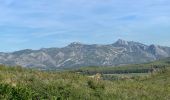 Excursión Senderismo Aubagne - La couette - Photo 15