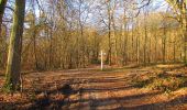 Trail Walking Vieux-Moulin - en forêt de Compiègne_25_les Tournantes du Mont Saint-Pierre - Photo 19