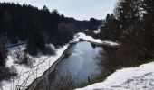 Trail Walking Bütgenbach - butgenbach-tour-du-lac-10-km - Photo 1