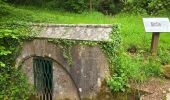 Tocht Stappen Saints-Geosmes - Boucle 18 km incluant Cohons et la source de la Marne - Photo 3