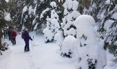 Randonnée Raquettes à neige Châtelblanc - raquette jura j2 - Photo 3