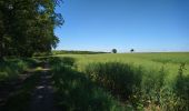 Tour Wandern Saint-Germain-sur-Vienne - Saint-Germain-sur-Vienne - Zig zag GR3 Fontevraud-l'Abbaye - 20km 350m 4h50 (45mn) - 2024 05 08 - Photo 3