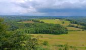 Tour Wandern Esneux - esneux . ham . roche aux faucons par les petits chemins  - Photo 15