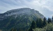 Tour Wandern Saint-Pierre-de-Chartreuse - Circuit autour de Pravouta (Saint Hilaire du Touvet) - Photo 5