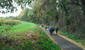 Tocht Stappen Corconne - Corconne vignes garrigue oliveraies  - Photo 4