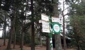 Trail Walking Ottrott - 2023-02-18 Vorbruck - Mt st Odile - Photo 7