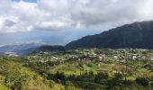 Tour Wandern La Possession - Dos d'Ane - Roche vert bouteille  - Cap noir - Photo 11