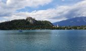 Trail Walking Bled - bled - tour du lac - Photo 11