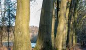 Tocht Te voet Haltern am See - Waldbeerenberg Rundweg A3 - Photo 2