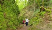 Trail Walking Thiézac - Les Gorges du Pas de Cère - Photo 4