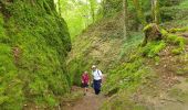 Percorso Marcia Thiézac - Les Gorges du Pas de Cère - Photo 4