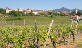 Randonnée Marche Mittelwihr - Les perles du vignoble : Mittelwihr - Beblenheim - Zellenberg - Hunawihr - Riquewihr - Sigolsheim - Photo 10