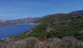 Trail Walking Cargèse - la Tour de cargese Corse - Photo 2