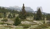 Randonnée Marche Die - Le Glandasse - Col des Bachassons par Valcroissant - Photo 15