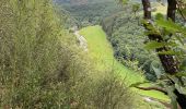 Excursión Senderismo Bourscheid - Escapardenne Lee Trail: Moulin de Bourscheid - Hoscheid - Photo 20