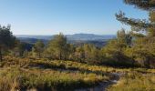 Randonnée Marche Sanary-sur-Mer - Le Gros Cervea - Photo 10