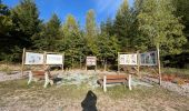 Excursión Senderismo Libramont-Chevigny - Libramont Bois de Bernihé parcours BD - Photo 7