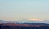 Randonnée Marche Garéoult - L'Amarron depuis Garéoult - Photo 10