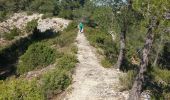 Tour Wandern Saint-Rémy-de-Provence - 15 04 2024 - Photo 2
