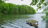 Tour Zu Fuß Schwielochsee - Rundwanderweg Großer Mochowsee - Photo 3