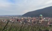 Trail Walking Kaysersberg-Vignoble - Kaysersberg - Photo 4