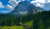 Excursión A pie Varzo - F28 - Alpe Veglia - Bocchetta di Aurona - Photo 1