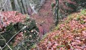 Tocht Stappen Waldbillig - Mullerthal - Photo 10