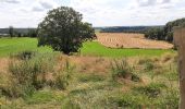 Trail Walking Dinant - FOY GPX BERLAGE - Photo 9