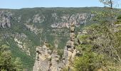 Trail Walking Saint-Pierre-des-Tripiers - Cassagnes crête vallée Jonte et Tarn 12,2 km - Photo 13