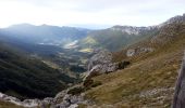 Trail Walking Omblèze - Le tour du Roc de Toulau - Photo 2