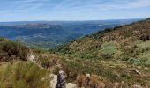 Percorso Marcia Arrigas - de Arrigas au Mont saint Guiral - Photo 3