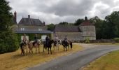 Tour Kutsche fahren Le Controis-en-Sologne - evasion 2019 faite - Photo 5