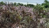 Tocht Stappen Le Cannet-des-Maures - Autour de 