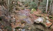 Excursión Senderismo Isaba - cascada de belabarce - Photo 2