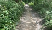 Tocht Stappen Bergen - Bois d'Havré - Saint-Symphorien - Bois Là-Haut. - Photo 1