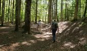 Tour Wandern Saou - foret saou - Photo 2