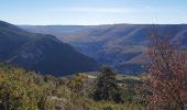 Excursión Senderismo La Palud-sur-Verdon - sentier bastidon 999m 17.6k - Photo 8